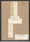 Pleurosigma tropicum Grun. (de-Toni-Nr.: Genus 13, Species 1083) Zeichnungen Sammlung Grunow Nr. 1984 (NHMW-BOT-W0369133)